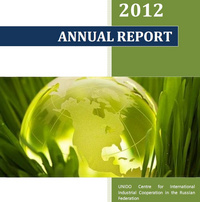 Годовой отчет Центра за 2012 год (англ.)