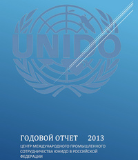 Годовой отчет Центра за 2013 год