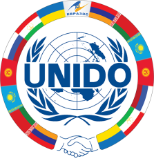 The UNIDO Centre in Russia turns 30